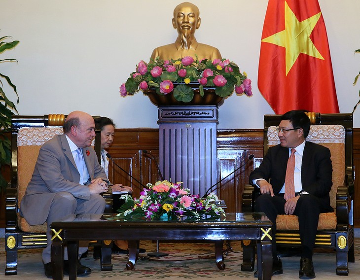Le chef d’Etat-Major adjoint de la Défense britannique reçu par Pham Binh Minh - ảnh 1